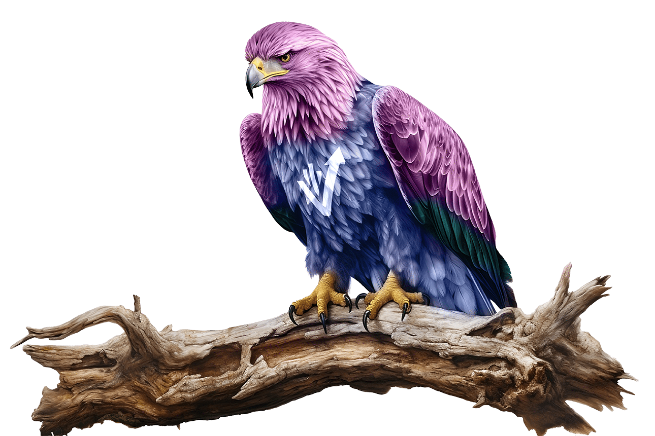 red tailed hawk