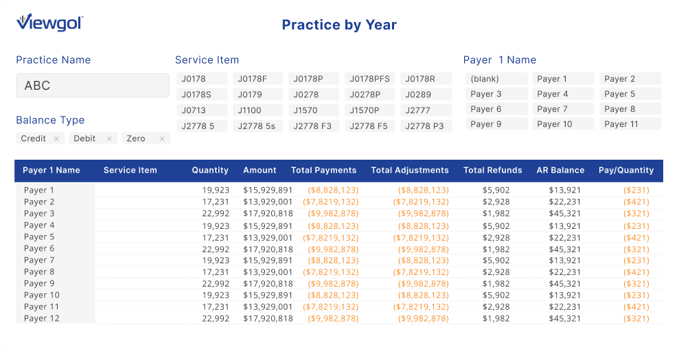 Payer Summary View